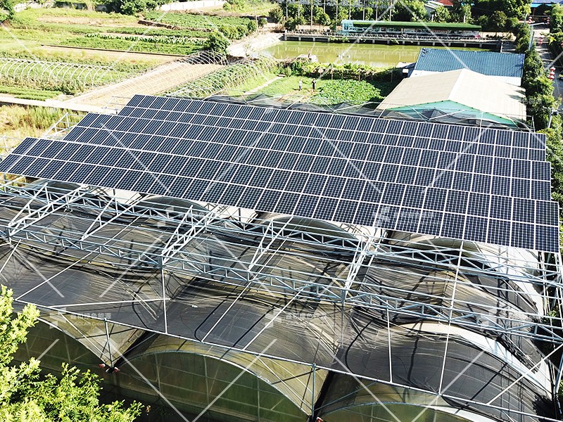 湖北888集团绿色能源有限公司