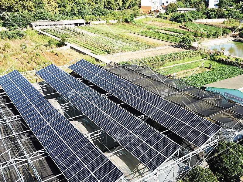 湖北888集团绿色能源有限公司