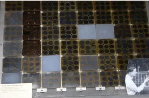 湖北888集团绿色能源有限公司