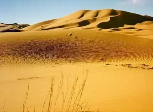 湖北888集团绿色能源有限公司