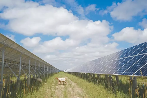 湖北888集团绿色能源有限公司