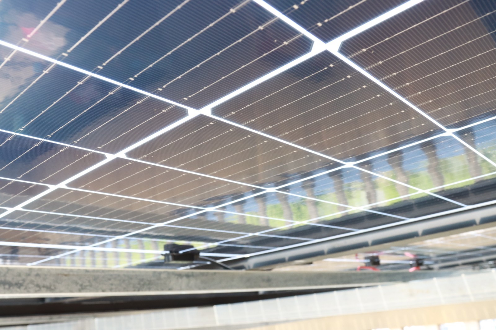 湖北888集团绿色能源有限公司