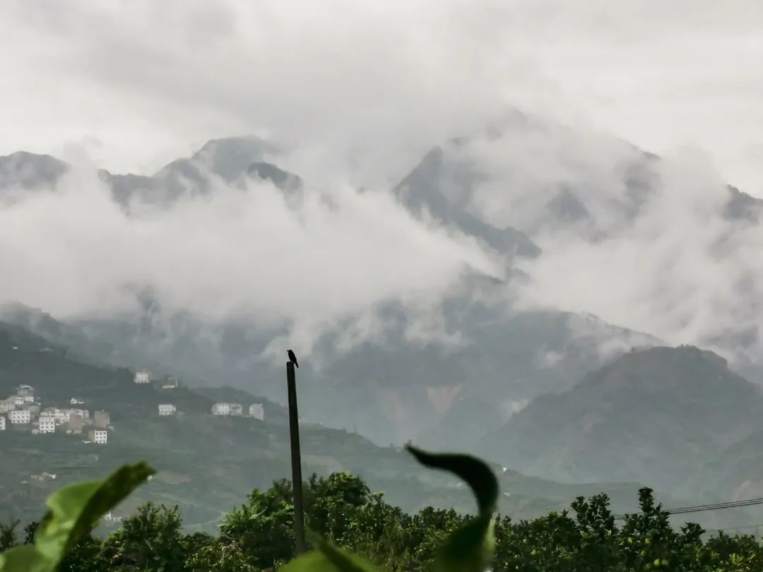 湖北888集团绿色能源有限公司