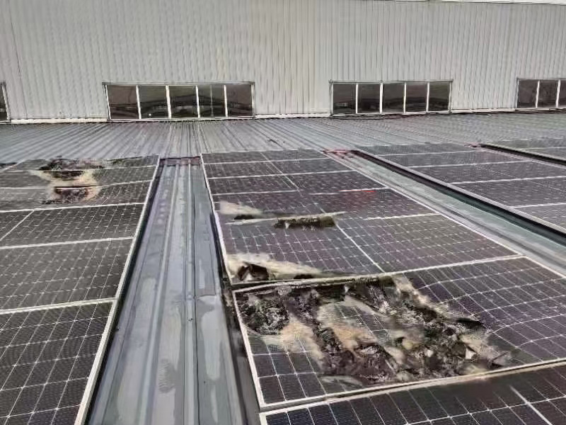 沉磅提醒 ┃ 选装光伏，请果断回绝廉价引诱！切记。∧肟釉俦惶茁罚。。