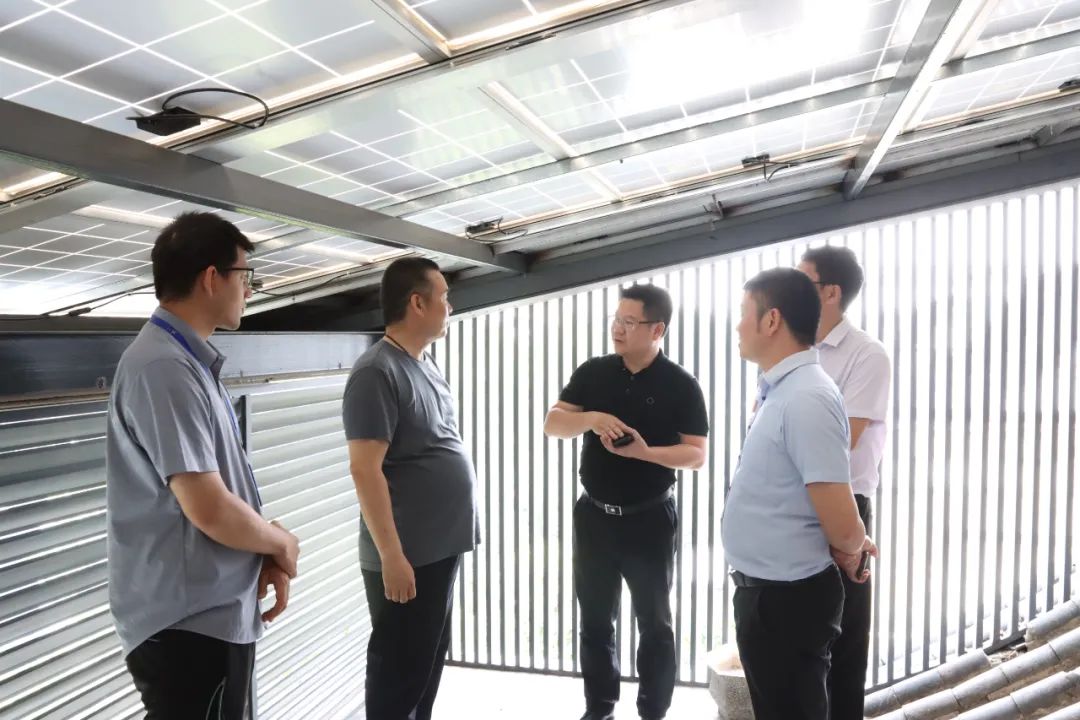 湖北888集团绿色能源有限公司