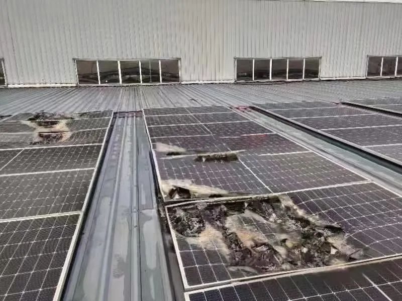 湖北888集团绿色能源有限公司