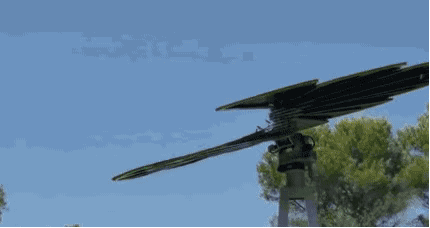 湖北888集团绿色能源有限公司