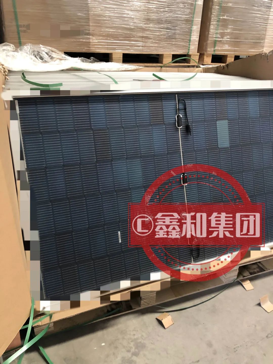 湖北888集团绿色能源有限公司